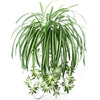 Artificial flowers plants Wall Hanging Chlorophytum potted - Self-Improvement Lions Den