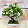 Artificial Green Plants Bonsai Simulation Plastic - Self-Improvement Lions Den