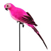 25cm Handmade Simulation Parrot Innovative Feather - Self-Improvement Lions Den