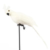 25cm Handmade Simulation Parrot Innovative Feather - Self-Improvement Lions Den