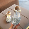 Princess Sparkling Cinderella Crystal Shoes - Self-Improvement Lions Den