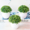 NEW Artificial Plants Bonsai Small Tree Pot Plants - Self-Improvement Lions Den